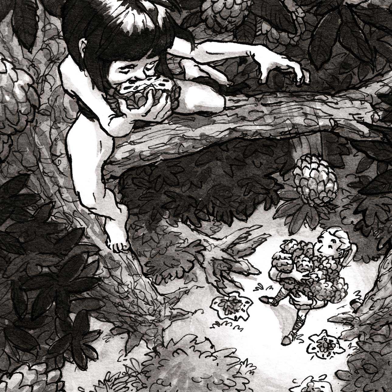 ink drawing illustration indigenous girl on tree throwing fruit