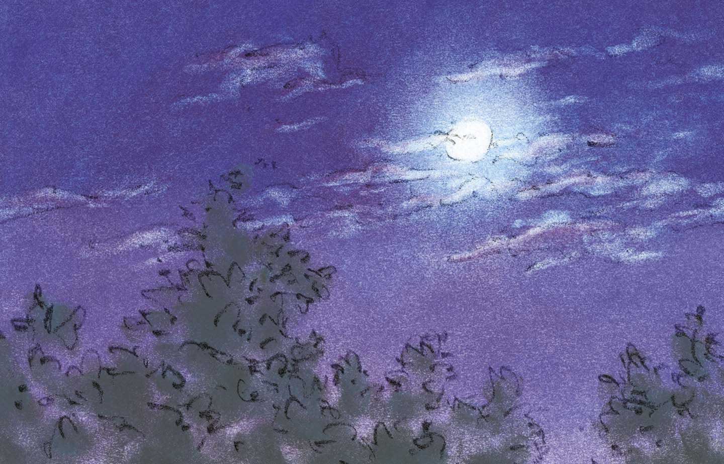 picture book illustration night sky moon